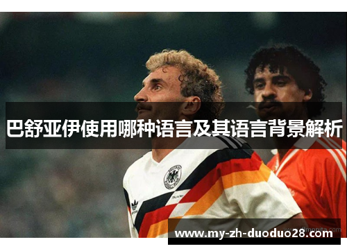 巴舒亚伊使用哪种语言及其语言背景解析