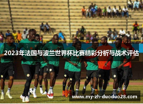 2023年法国与波兰世界杯比赛精彩分析与战术评估 2023年法国与波兰世界杯比赛精彩分析与战术评估