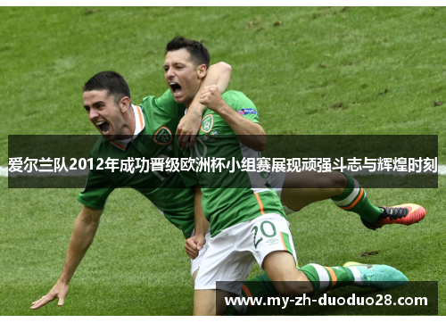 爱尔兰队2012年成功晋级欧洲杯小组赛展现顽强斗志与辉煌时刻 爱尔兰队2012年成功晋级欧洲杯小组赛展现顽强斗志与辉煌时刻
