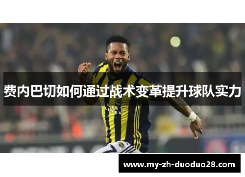 费内巴切如何通过战术变革提升球队实力
