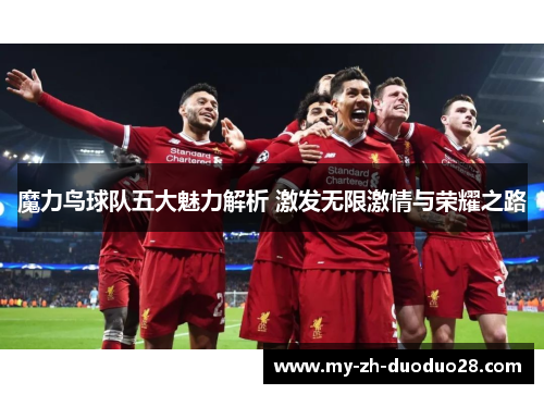 魔力鸟球队五大魅力解析 激发无限激情与荣耀之路