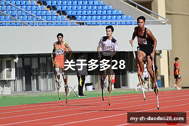 关于多多28